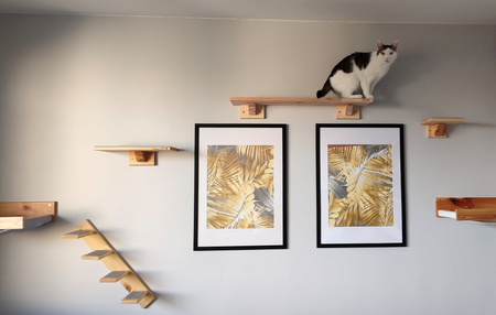 Półka dł.80 cm dla kota