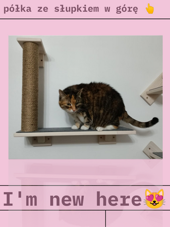 Półka ze słupkiem do drapania dla kota