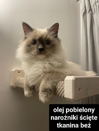 Legowisko ścienne dla kota