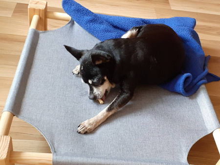 Legowisko pupiLove dla kota i małego psa