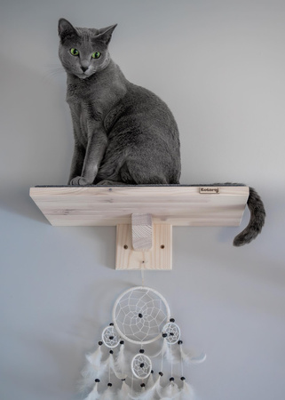 Półka dł.40 cm dla kota