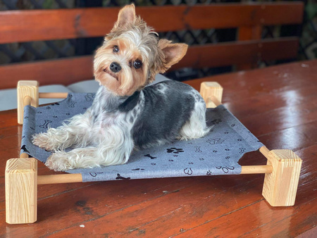 Legowisko pupiLove dla kota i małego psa