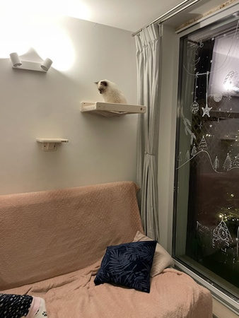 Legowisko ścienne dla kota