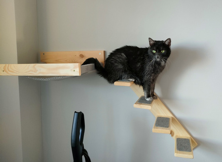 Legowisko i schodki dla kota - zestaw