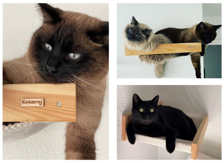 Legowisko ścienne dla kota