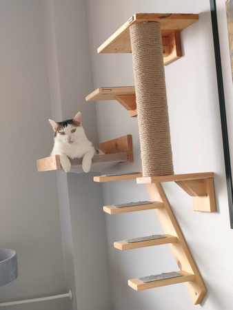 Legowisko ścienne dla kota