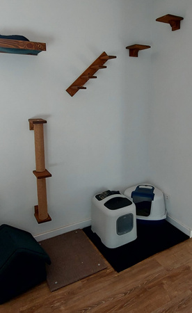 Drapak ścienny dla kota 2 słupki