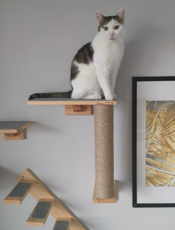 Półka ze słupkiem do drapania dla kota