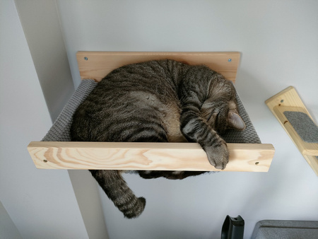 Legowisko ścienne dla kota