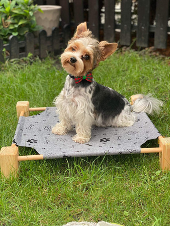 Legowisko pupiLove dla kota i małego psa