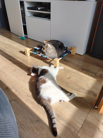 Legowisko pupiLove dla kota i małego psa