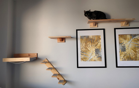 Półka dł.40 cm dla kota