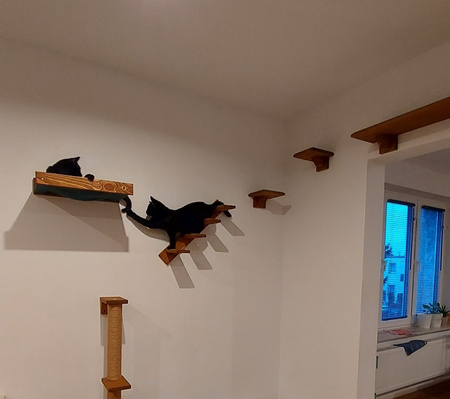 Legowisko, schodki, drapak dla kota - zestaw