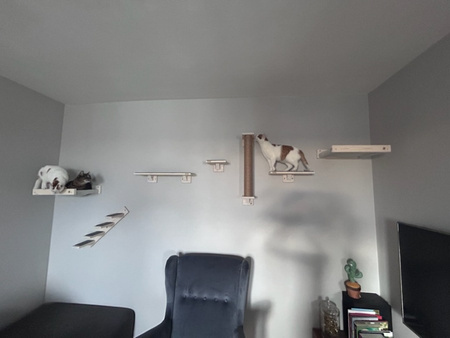 Legowisko ścienne dla kota